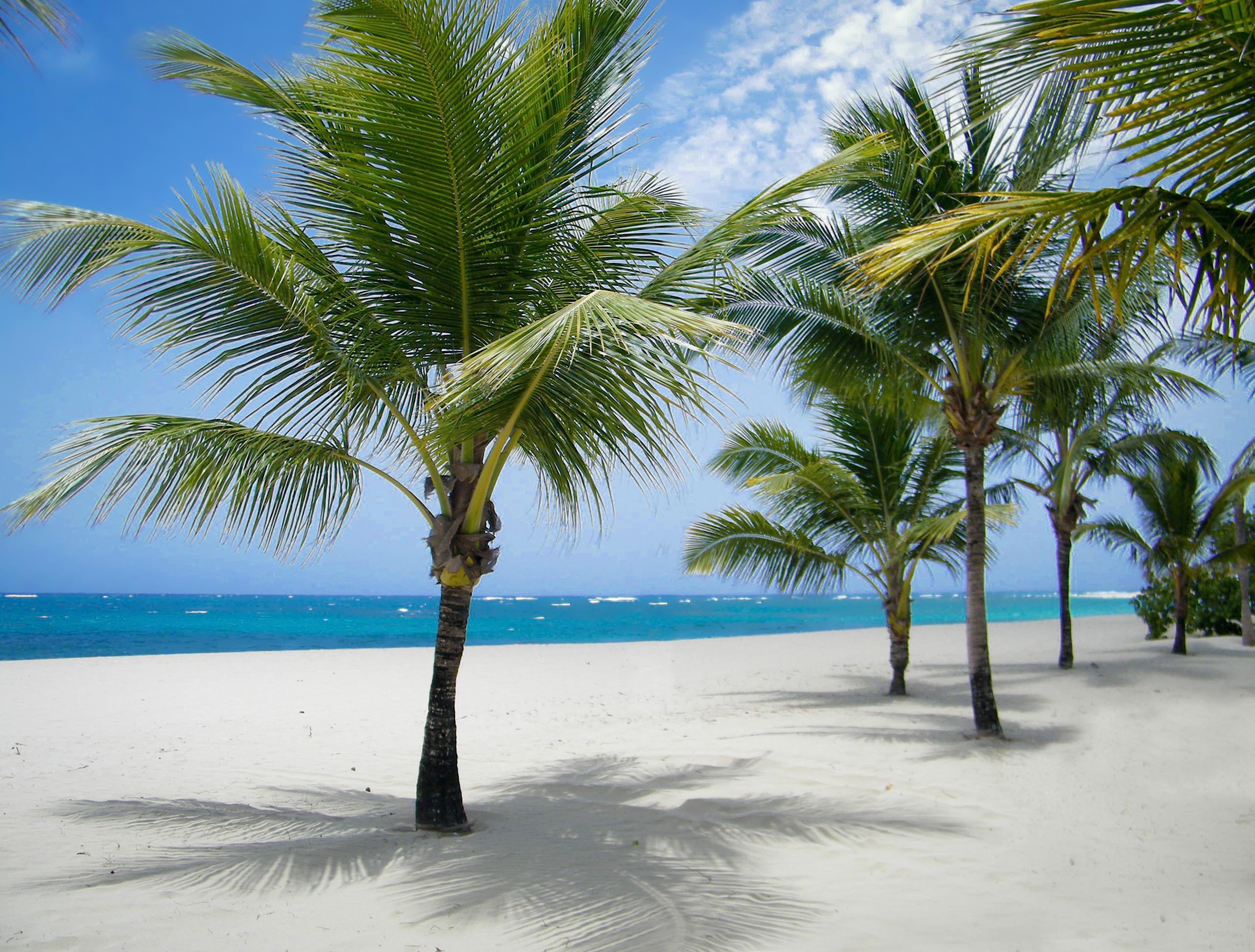 Viva Heavens By Wyndham, A Trademark All Inclusive (Adults Only) Puerto Plata Dış mekan fotoğraf