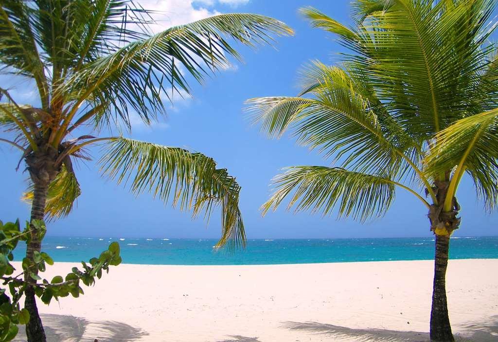 Viva Heavens By Wyndham, A Trademark All Inclusive (Adults Only) Puerto Plata Doğa fotoğraf